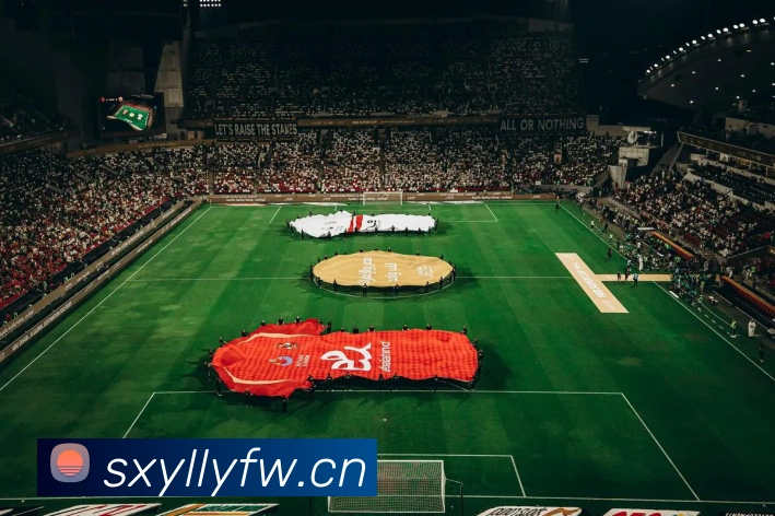 博鱼首页官网APP 封面图